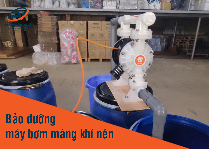 bảo dưỡng máy bơm màng khí nén