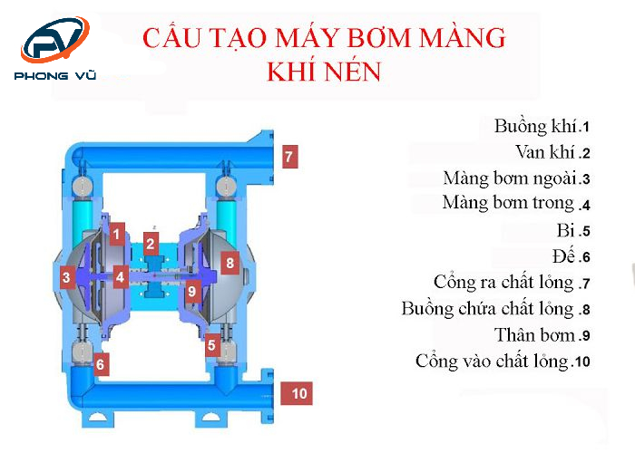 cấu tạo bơm màng khí nén