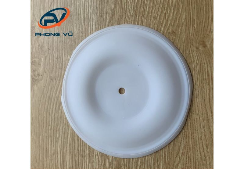 Màng bơm teflon 819.4402 Phụ tùng bơm Verderair 1″