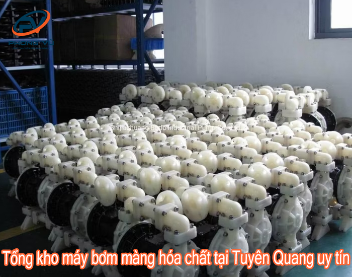 máy bơm màng hóa chất tại Tuyên Quang