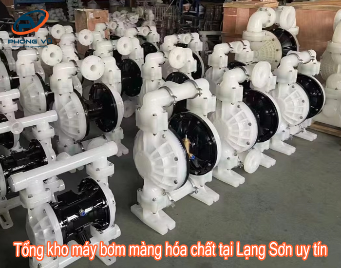 máy bơm màng hóa chất tại Lạng Sơn