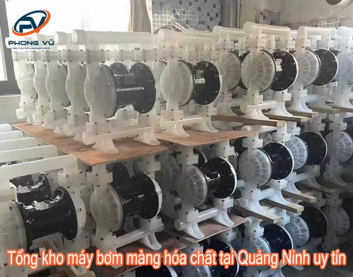 máy bơm màng hóa chất tại Quảng Ninh