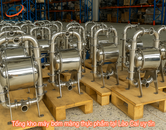 Tổng kho máy bơm màng thực phẩm tại Lào Cai