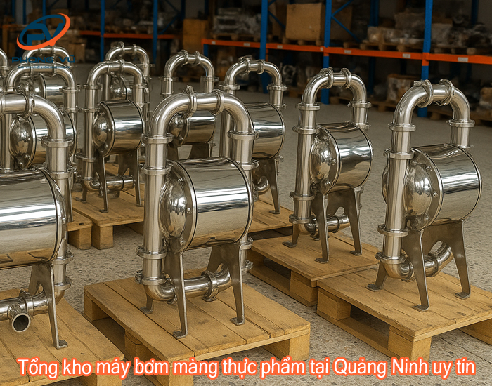 Tổng kho máy bơm màng thực phẩm tại Quảng Ninh