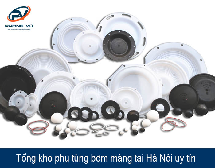 phụ tùng bơm màng tại Hà Nội