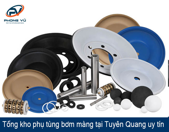 phụ tùng bơm màng tại Tuyên Quang