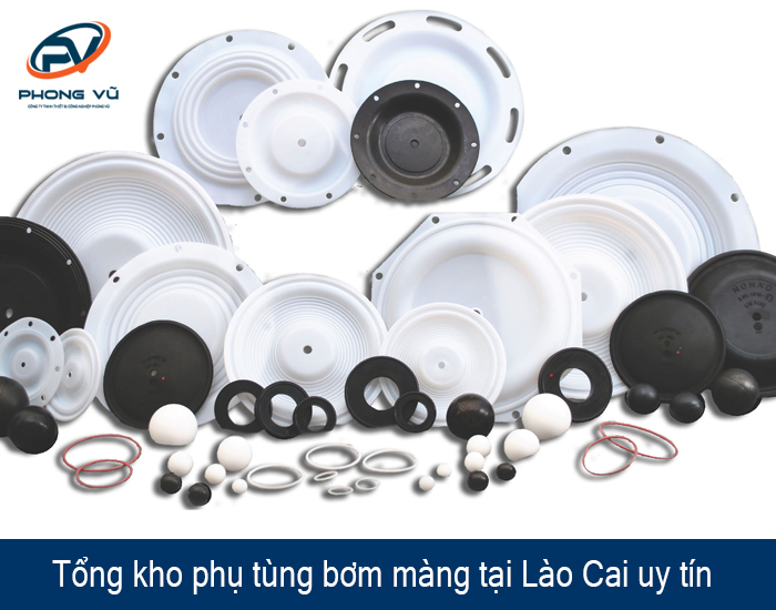 phụ tùng bơm màng tại Lào Cai