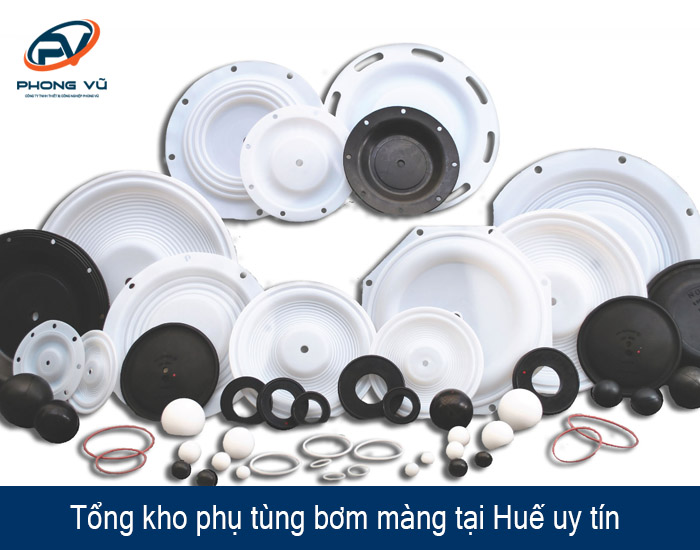 phụ tùng bơm màng tại Huế