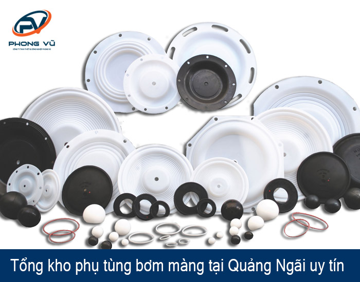 phụ tùng bơm màng tại Quảng Ngãi