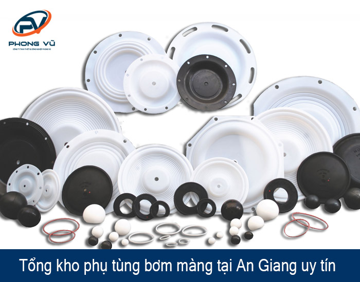 phụ tùng bơm màng tại An Giang