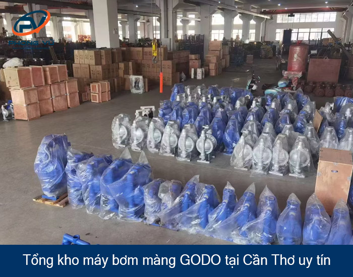 máy bơm màng GODO tại Cần Thơ
